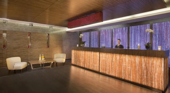 لابی هتل آتانا دبی 53013