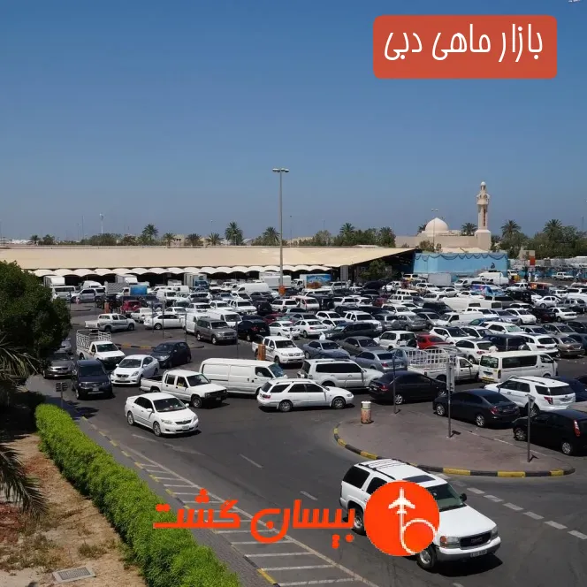 بازار ماهی دبی