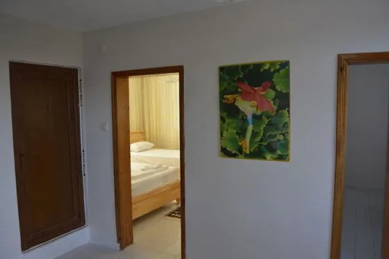 تصویر 184908  هتل لمون گاردن لادج آنتالیا 