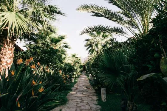 تصویر 186638  هتل آزور آنتالیا 