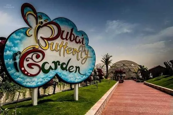 تصویر 53268  باغ پروانه دبی 