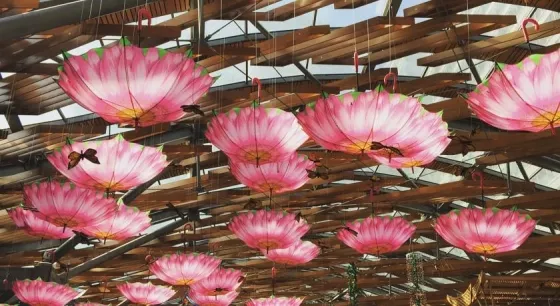 تصویر 53681 نمای بیرونی هتل سیتی سیزن تاور دبی 