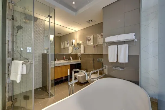 فضای اتاق های هتل رویال کنتیننتال دبی 53708