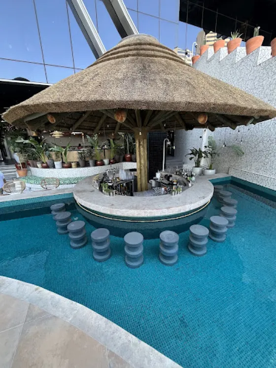 تصویر 195680 استخر هتل ماما شلتر دبی