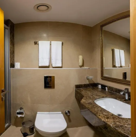 تصویر 198508  هتل کرستیوم پرایم اسکوئر استانبول 