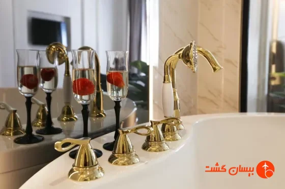 هتل والتون گاردنز پرا استانبول - تصویر 38