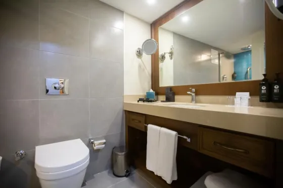 تصویر 200597  هتل رامادا پلازا بای ویندهام سلطان احمد استانبول 