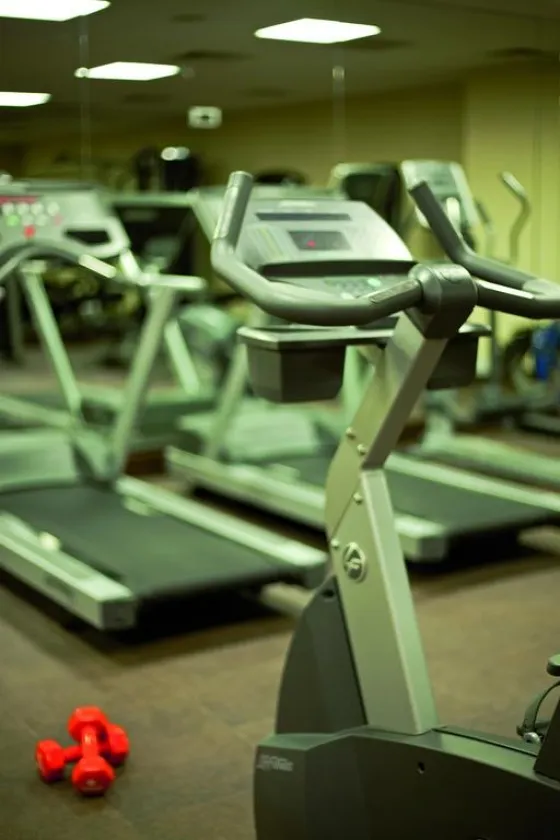 باشگاه ورزشی هتل کرون پلازا هاربیه استانبول 56059