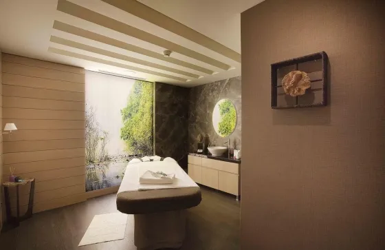 سونا و اسپا هتل رادیسون بلو شیشلی استانبول 56249