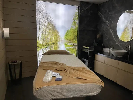 سونا و اسپا هتل رادیسون بلو شیشلی استانبول 191778