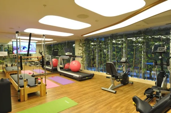 باشگاه ورزشی هتل ویرون استانبول 56701