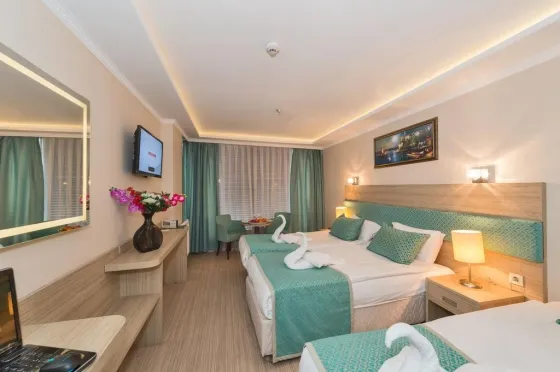 فضای اتاق های هتل اوتامان سیتی استانبول 59155