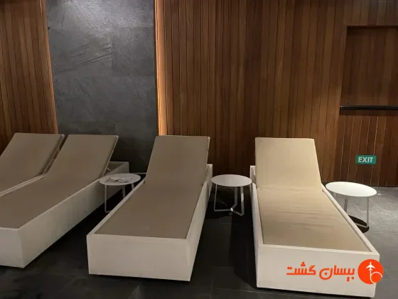 استخر هتل دابل تری بای هیلتون پیاله پاشا استانبول - تصویر 81