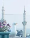 فضای بیرونی هتل گرند واشنگتن استانبول 59777 100